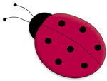 Big Ladybug . . .